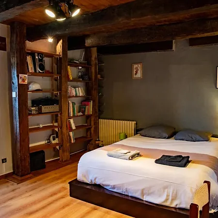 Grande Maison Familiale - Proche Rodez, Wifi, Calme Et Jardin