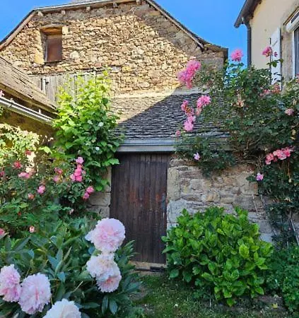 Ferienhaus Grande Maison Familiale - Proche Rodez, Wifi, Calme Et Jardin Luc