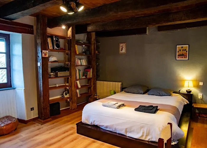 Grande Maison Familiale - Proche Rodez, Wifi, Calme Et Jardin