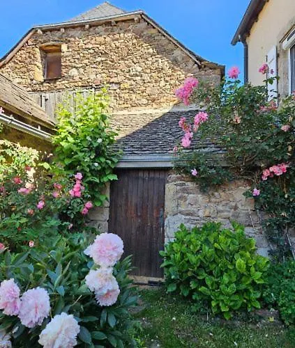 펜션 Grande Maison Familiale - Proche Rodez, Wifi, Calme Et Jardin Luc